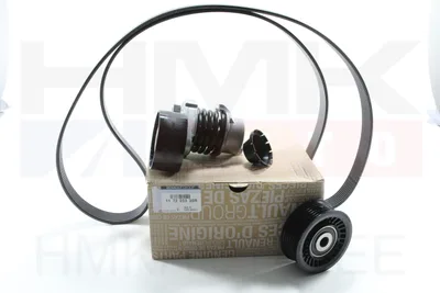 Mitmikkiilrihma komplekt OEM Renault/Dacia 1,2TCE - REN  117203336R - OE - 100% Genuine Part