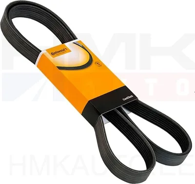 Courroie Poly-V double face 6DPK1825 - 6DPK1825-CON - Contitech