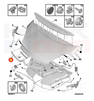 Konepellin lista, kromattu OEM C4 Picasso -2010 - PSA  796629 - OE - 100% Genuine Part