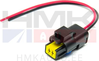 Connector 2 pins with wire Citroen/Peugeot/Renault - PI02-013