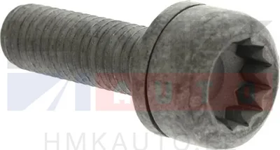 Boulon de fixation de poulie de pompe à carburant OEM VAG 1,6/2,0TDi M18x1,5 - N91176101 - OE - 100% Genuine Part