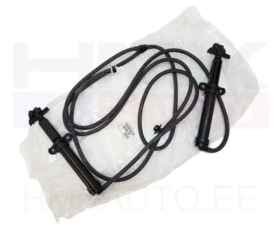 Tulepesuri pihustite komplekt OEM Peugeot 508 - PSA  6438EV - OE - 100% Genuine Part