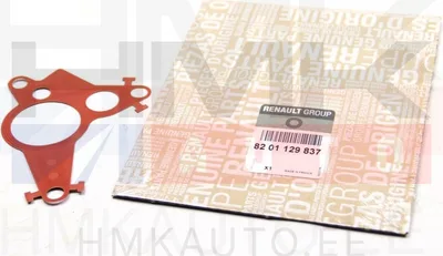 Vaakumpumba tihend OEM Renault 2,0/2,3dCi 2010- - REN  8201129837 - OE - 100% Genuine Part