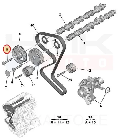Nukkvõlli rihmaratta polt Citroen/Peugeot - PSA 080644 - OE - 100% Genuine Part