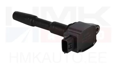 Süütepool OEM Renault 0,9/1,2TCe/1,6 - REN  224332428R - OE - 100% Genuine Part