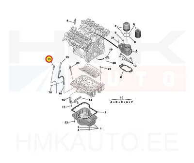 Õlivarras OEM Citroen C5,C6 / Peugeot 407 3,0HDI DT20C - PSA  1174F3 - OE - 100% Genuine Part