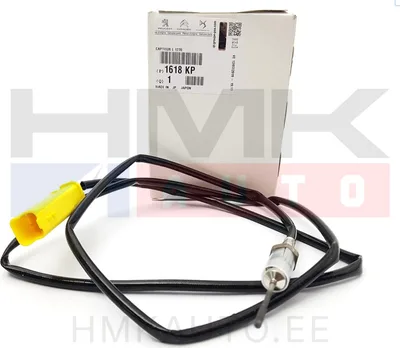 Väljalaskegaaside temperatuuri andur OEM Citroen/Peugeot - PSA 1618KP - OE - 100% Genuine Part