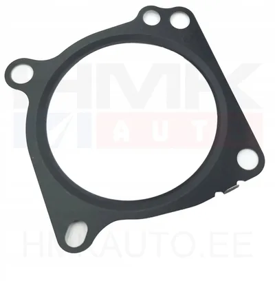 Drosselklapi tihend OEM Renault Master 2,3DCI (Biturbo) - REN 161754296R - OE - 100% Genuine Part