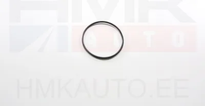 Kõrgsurvepumba tihend OEM Renault Master 2,3DCi 2010- - REN 167811426R - OE - 100% Genuine Part