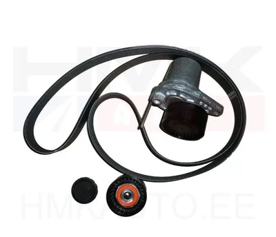 Mitmikkiilrihma komplekt OEM Renault 1,6DCI R9M - REN  117201627R - OE - 100% Genuine Part