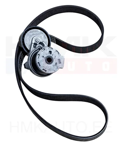 Mitmikkiilrihma komplekt OEM Renault 1,5dCi/1,6dCi - REN  117201925R - OE - 100% Genuine Part