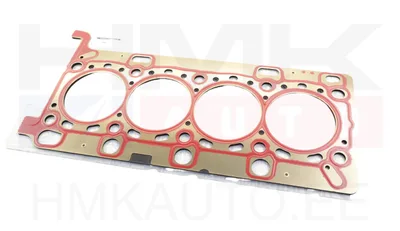 Plokikaane tihend OEM Renault 1,6dCi - REN 110445901R - OE - 100% Genuine Part