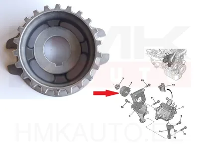 Шкив топливного насоса OEM Citroen/Peugeot DV6 - PSA 193047 - OE - 100% Genuine Part
