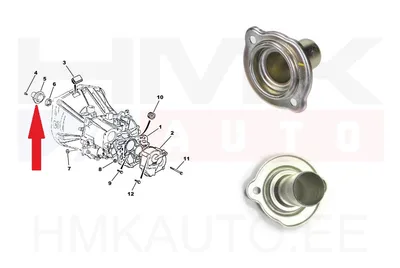 Siduri survelaagri juhik OEM Citroen/Peugeot/Fiat - PSA 210560 - OE - 100% Genuine Part