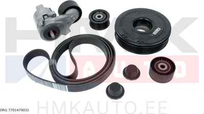 Mitmikkiilrihma komplekt koos väntvõlli rihmarattaga OEM Renault 3,0dCi V6 - REN  7701479031 - OE - 100% Genuine Part