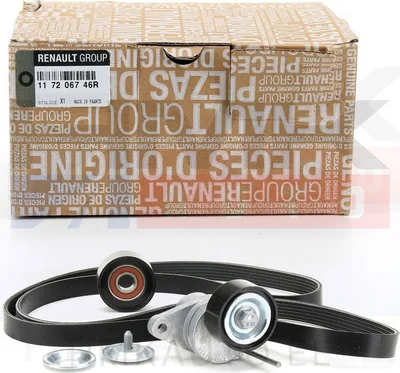 Mitmikkiilrihma komplekt OEM Renault/Dacia - REN  117206746R - OE - 100% Genuine Part