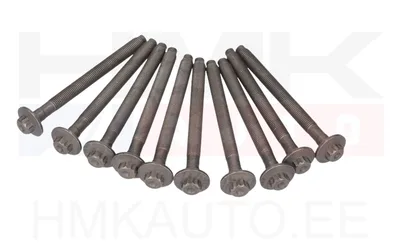 Plokikaane poltide komplekt OEM Renault 1,6dCi - REN  1105600Q0E - OE - 100% Genuine Part