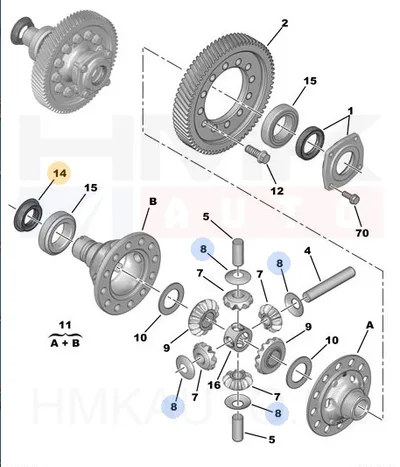 Veovõlli tihend parem OEM Citroen/Peugeot 32x50x10 - PSA  1686556580 - OE - 100% Genuine Part