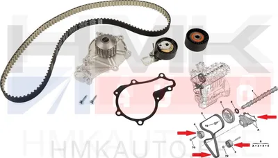 Kit courroie de distribution + pompe à eau OEM Citroen C3, C4 Peugeot 208 1.6HDI - PSA  1684448180 - OE - 100% Genuine Part