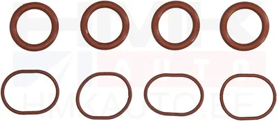 Комплект прокладок впускного коллектора Citroen/Peugeot 2,2HDi DW12 - 469.080 - Elring