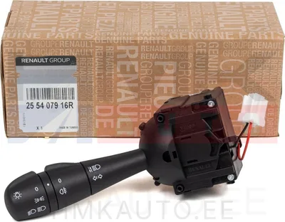 Tulede lüliti OEM Renault/Dacia - REN  255407916R - OE - 100% Genuine Part