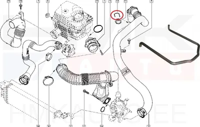 Collier de tuyau d'air turbo Renault Master/Opel Movano 2.3DCI 2010- - JAD 249663J - Prottego