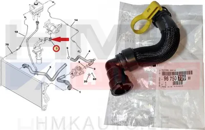 Jahutusvedeliku lõdvik õlijahutile OEM PSA 2,0/2,2BlueHDi 2016- - PSA  9675070980 - OE - 100% Genuine Part