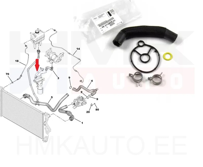 Jahutusvedeliku lõdvik ja tihend õlifiltri korpusele OEM PSA 2,0BlueHDi 2016- - PSA 9807439480 - OE - 100% Genuine Part