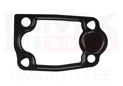 Termostaadi tihend Jumper/Boxer/Ducato 3,0HDi 06- - MD016107