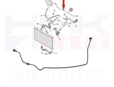 Paisupaagi ülevoolu toru OEM Citroen/Peugeot - PSA  1323H9 - OE - 100% Genuine Part
