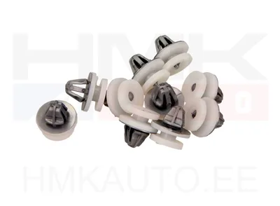 Liistu/polstri tüübel Renault (10tk.) - C30826