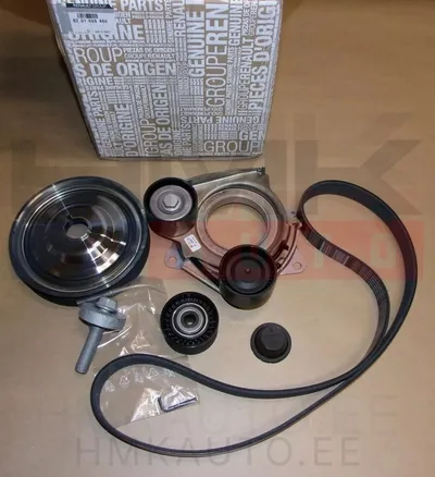 Mitmikkiilrihma komplekt OEM Renault 1,5dCi - REN  8201669460 - OE - 100% Genuine Part