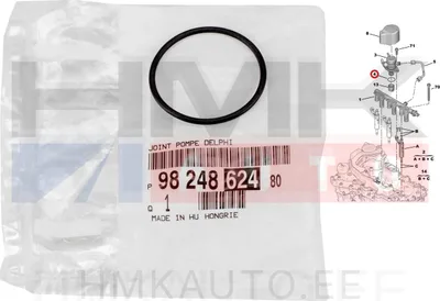 Kütusepumba tihend OEM Citroen/Peugeot 1,2THP EB2 (Delphi) - PSA  9824862480 - OE - 100% Genuine Part