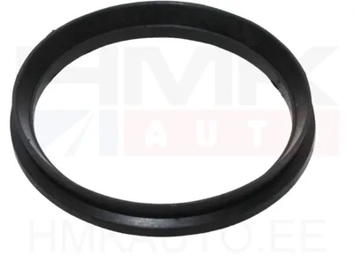 Прокладка опорного подшипника амортизатора Jumper/Boxer/Ducato 94- - 4850009
