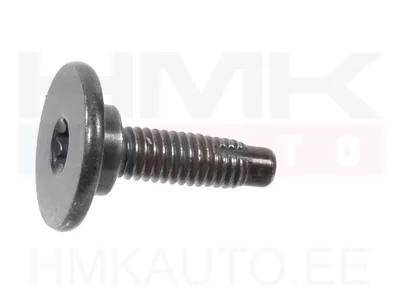 Pultti M6x1,00-L24 Ø18/10mm Citroen/Peugeot/Fiat (1kpl.) - 7530088