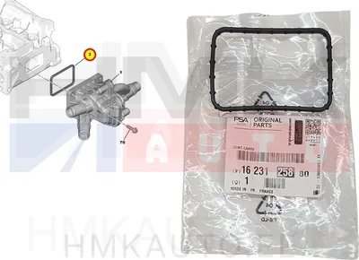 Termostaadi tihend OEM Citroen/Peugeot/Ford 1,6HDi - PSA  1623125880 - OE - 100% Genuine Part