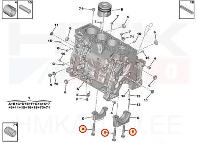 Väntvõlli raamsaale kinnituspolt OEM Citroen/Peugeot M12x1,50-L81 - PSA  013275 - OE - 100% Genuine Part