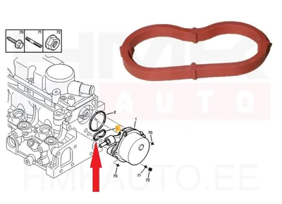 Vaakumpumba tihend OEM Citroen/Peugeot/Fiat 2,0HDi - PSA  455617 - OE - 100% Genuine Part