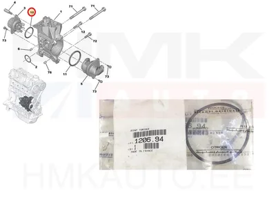 Veepumba tihend OEM Citroen/Peugeot/Fiat 1,1/1,4 - PSA 120694 - OE - 100% Genuine Part