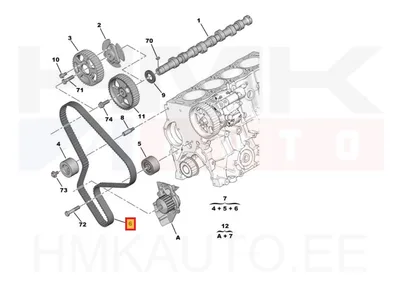 Hammasrihm OEM Citroen/Peugeot 2,0HDi 8V DW10 - PSA 0816A9 - OE - 100% Genuine Part