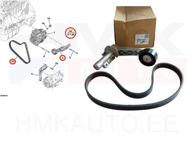 Mitmikkiilrihma komplekt OEM Citroen/Peugeot 1,6THP EP6 - PSA  1611627180 - OE - 100% Genuine Part