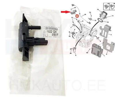 Kütuse temperatuuriandur OEM Citroen/Peugeot/Fiat (koos korpusega) - PSA  1922G4 - OE - 100% Genuine Part