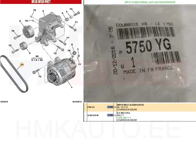 Mitmikkiilrihm 6PK1750 OEM Citroen/Peugeot - PSA 5750YG - OE - 100% Genuine Part
