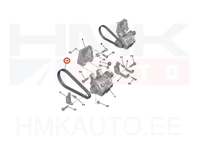 Mitmikkiilrihm 6PK728 OEM Citroen/Peugeot - PSA 5750WN - OE - 100% Genuine Part