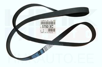Mitmikkiilrihm 6PK1887 OEM Citroen/Peugeot - PSA 5750XC - OE - 100% Genuine Part
