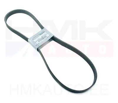 Mitmikkiilrihm 6PK1175 OEM Nissan - NIS 117204P102 - OE - 100% Genuine Part