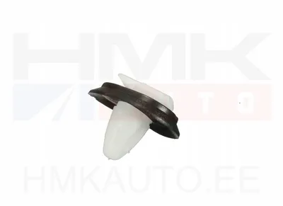 Courroie de distribution Jumper/Boxer/Ducato 2006- (1pcs.) - 7530050AG - AG Automotive