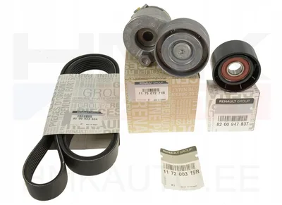 Mitmikkiilrihma komplekt OEM Renault Espace IV 1,9DCI-2,0i - REN  117200319R - OE - 100% Genuine Part
