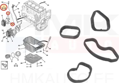 Õlijahuti tihendikomplekt OEM Citroen/Peugeot/Fiat 1,5BlueHDI DV5R - PSA 9814294680 - OE - 100% Genuine Part