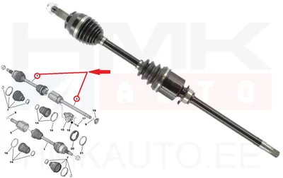 Arbre de transmission complet droit Nemo/Bipper 1,3HDI 2010- - EXP C9957 - Expert Line